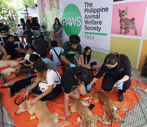 dog pound contact number|Contact PAWS • The Philippine Animal Welfare .